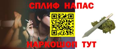 индика Лесосибирск