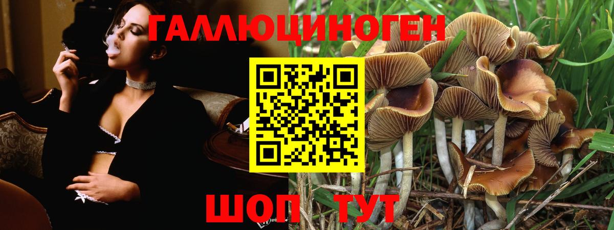 где продают наркотики  Галлюциногенные грибы мухоморы  Вход с VPN  Димитровград 