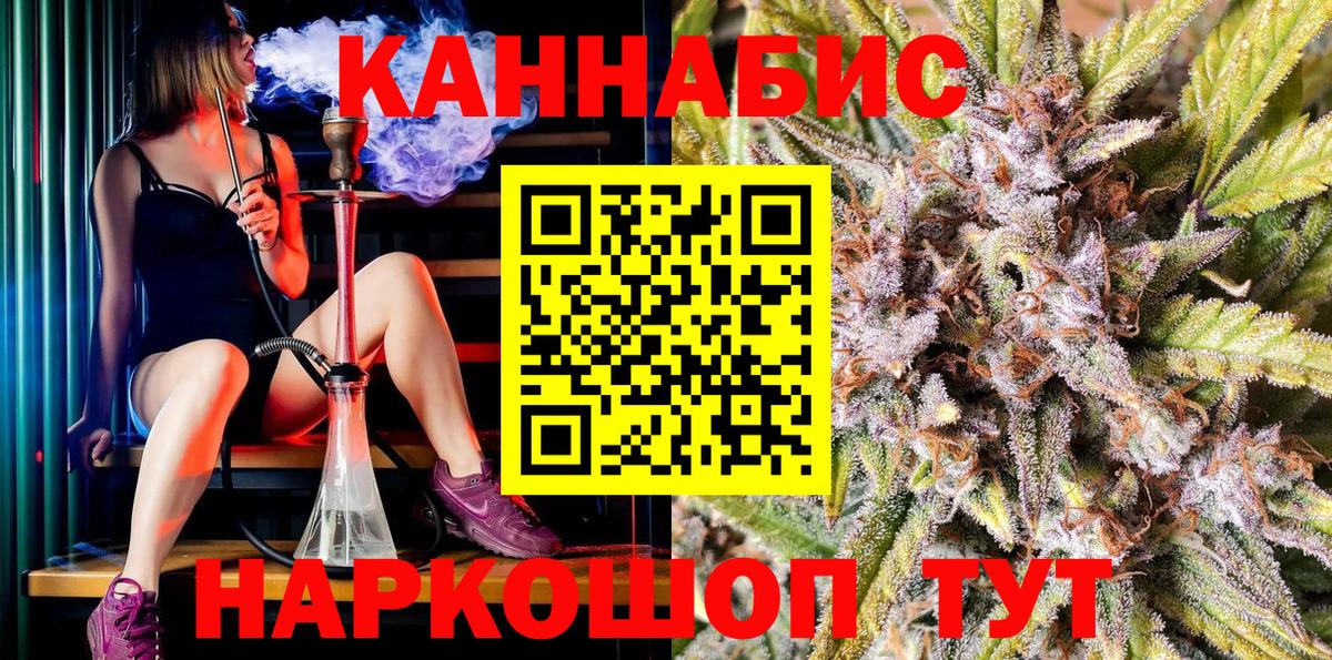 Канабис планчик Димитровград